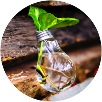 Innovation link
